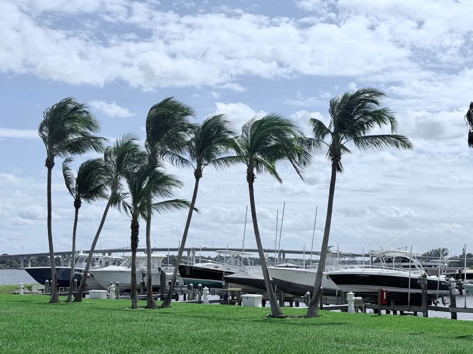 Boats docked along the Snug Harbor waterfront beneath swaying palms